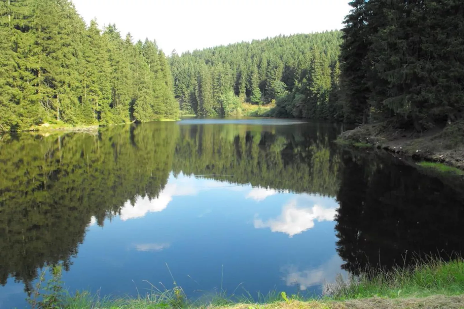 Wildemann-Areas summer 5km