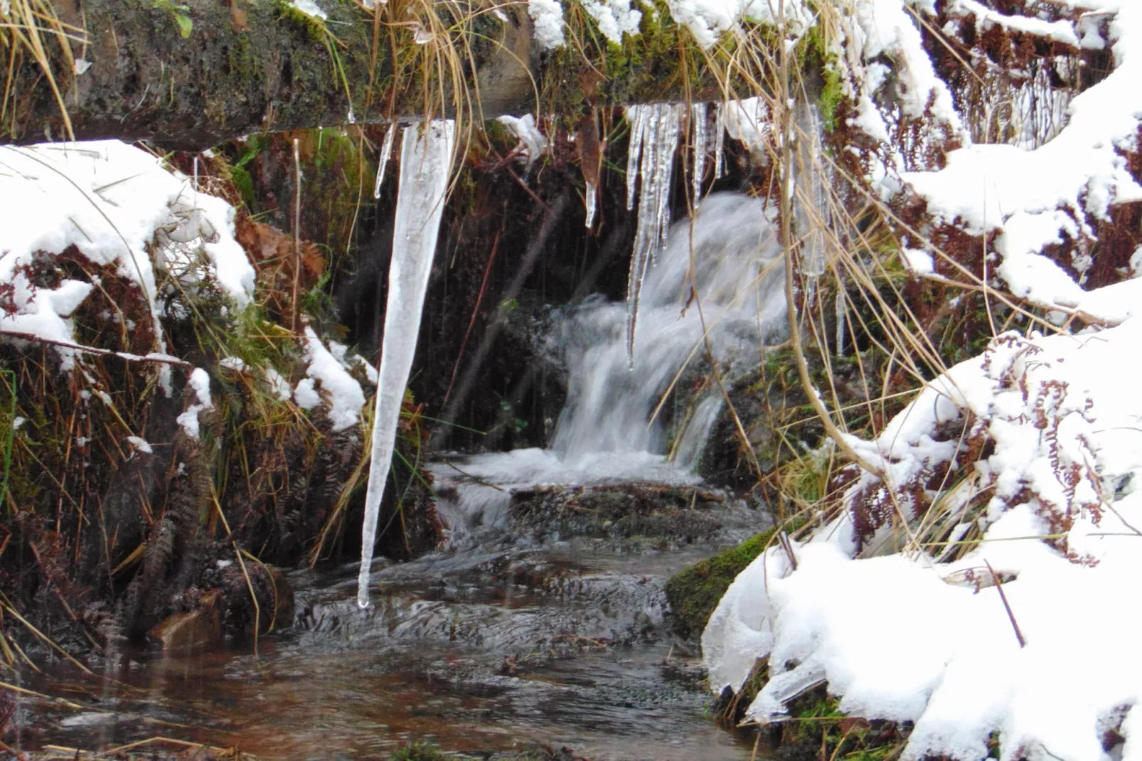 Wildemann-Area winter 5km