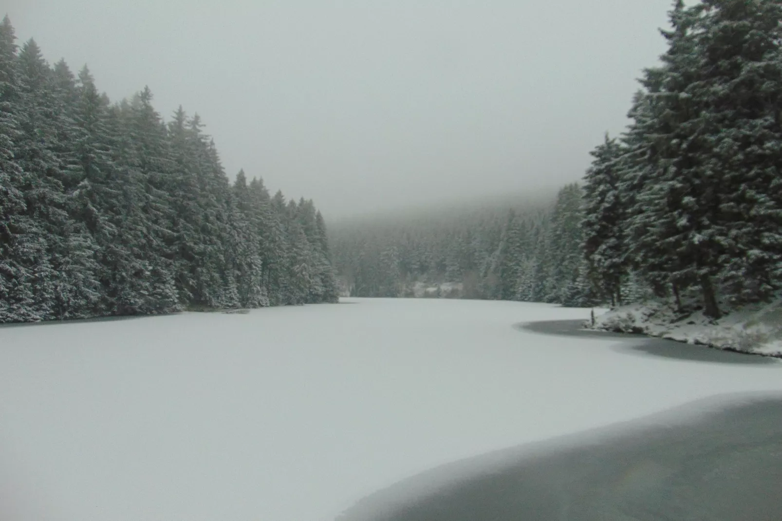 Wildemann-Area winter 20km