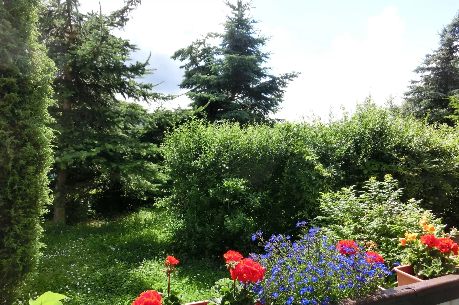 Angela-Gardens in summer