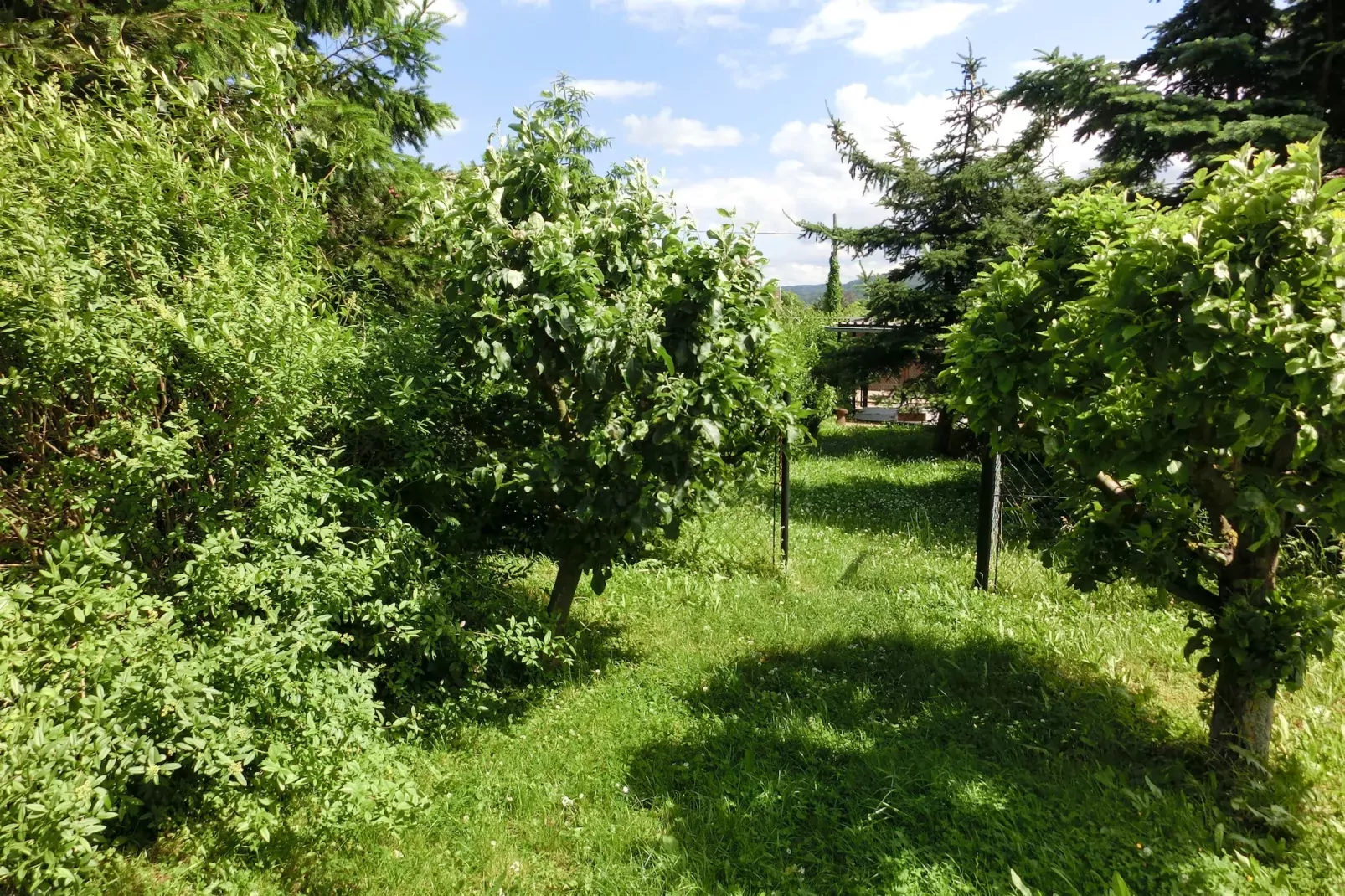 Angela-Gardens in summer