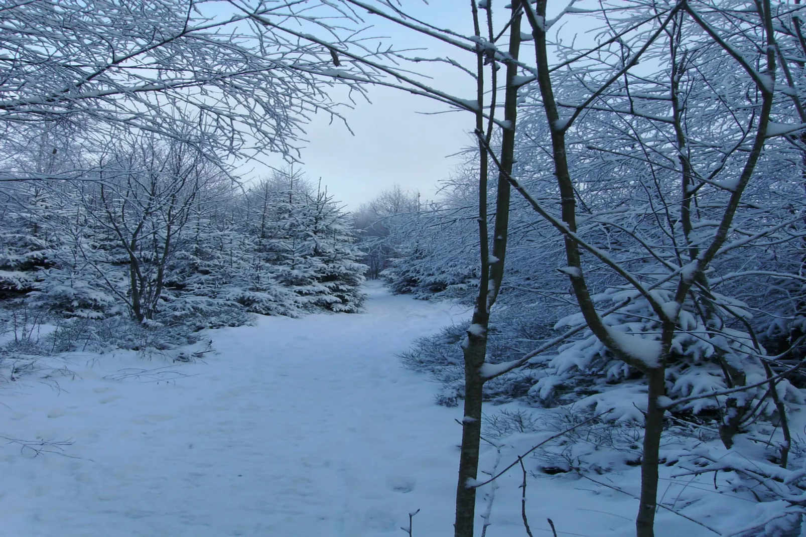Zur Schöne Aussicht-Aussicht Winter