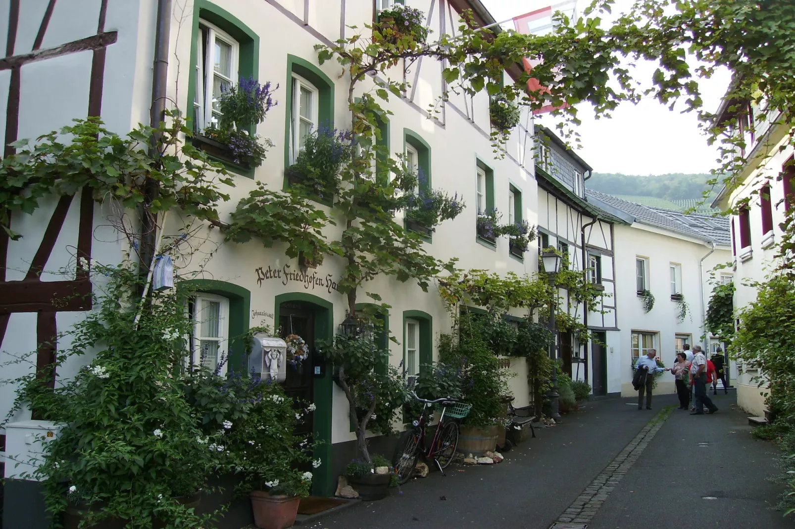 Zur Schöne Aussicht-Gebiete Sommer 20 km
