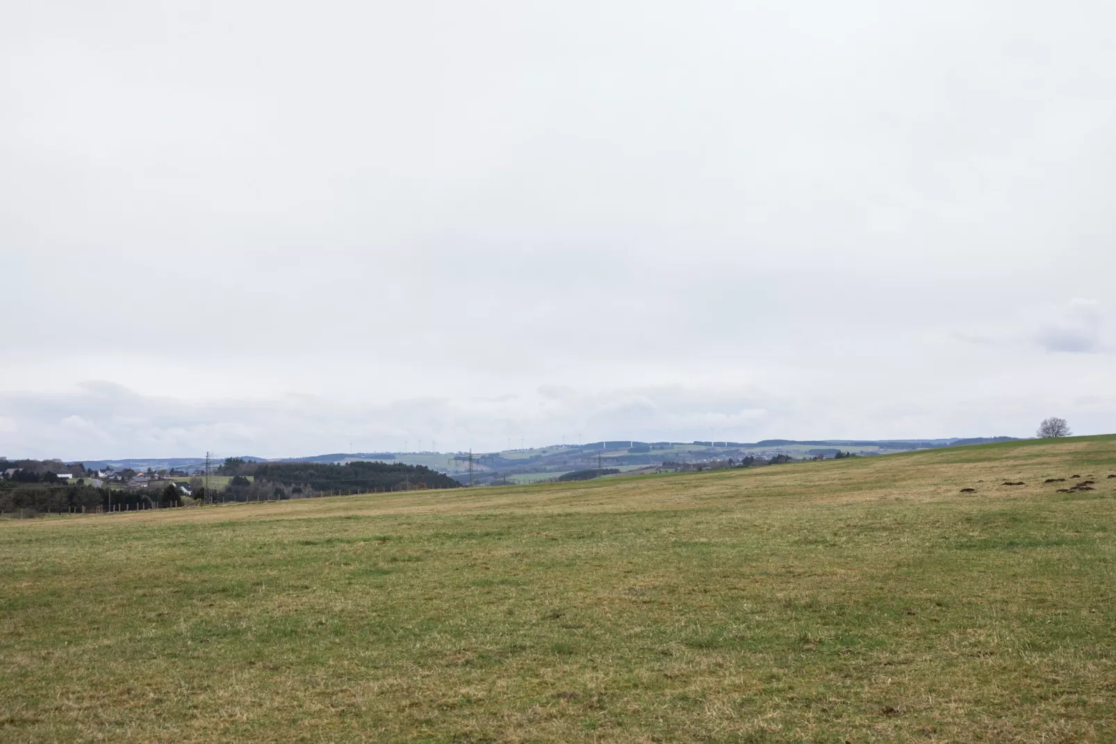 Morsbacher Hof II-Areas summer 1km