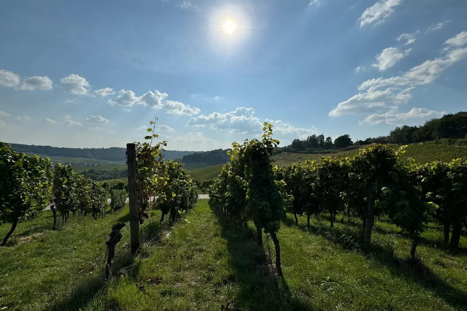 Gruppenhaus Rosenberg-Areas summer 5km