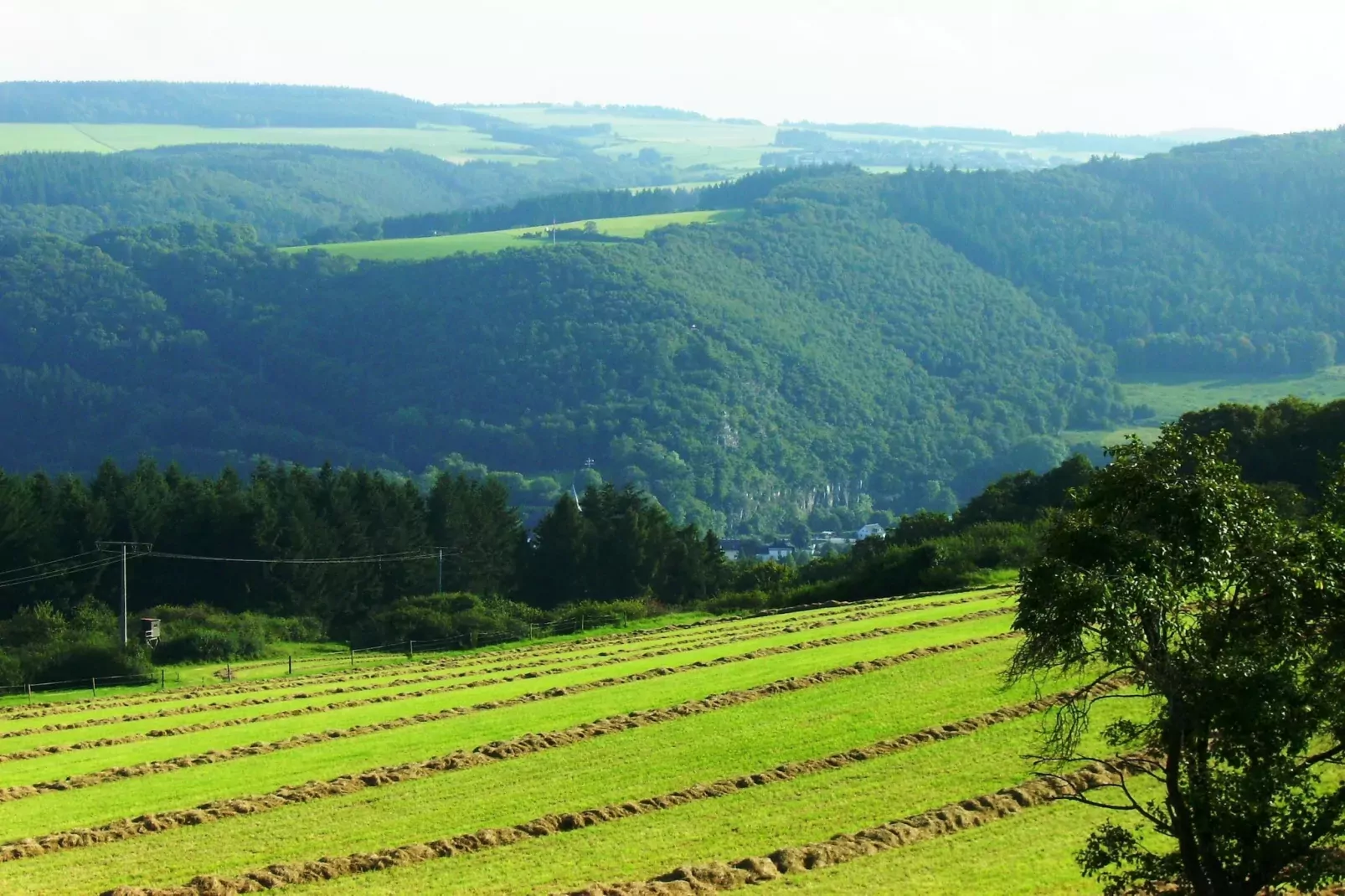 Gruppenhaus Rosenberg-Areas summer 20km