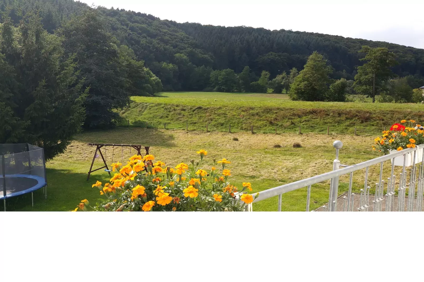 Mohr-View in summer