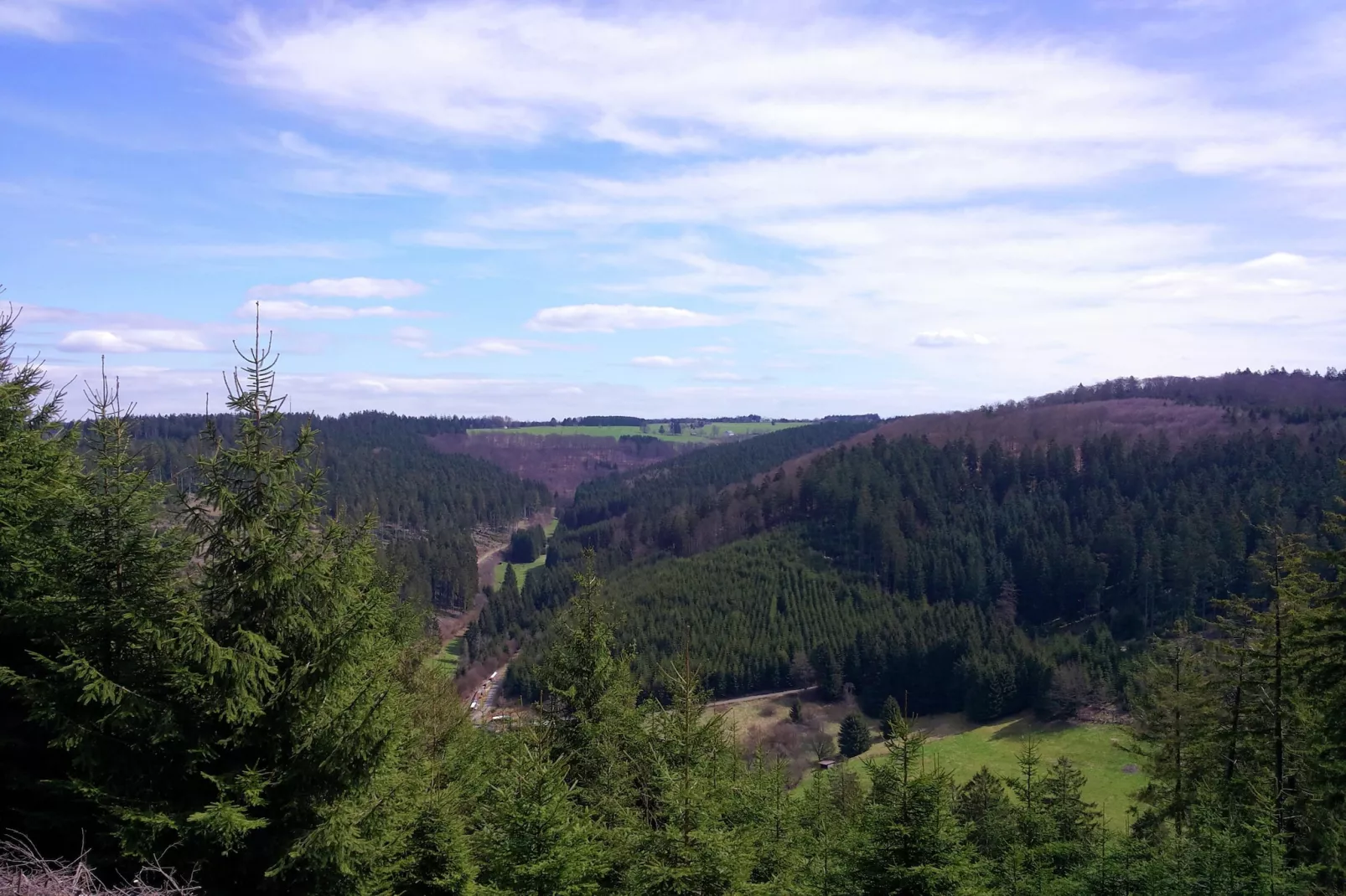 Waldhäuschen-Areas summer 1km