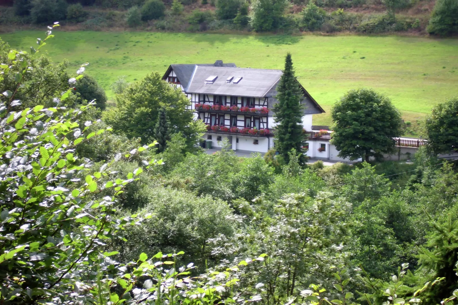 Elisabeth Tigges-Außenbereich Sommer