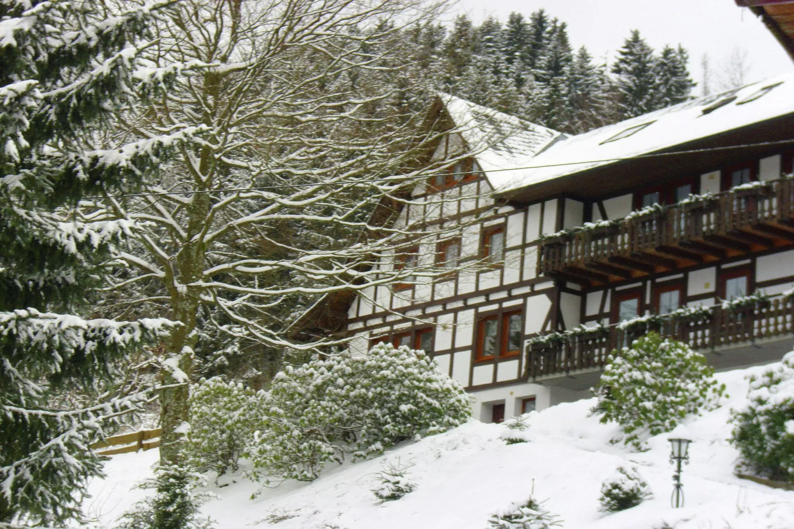 Elisabeth Tigges-Außenbereich Winter