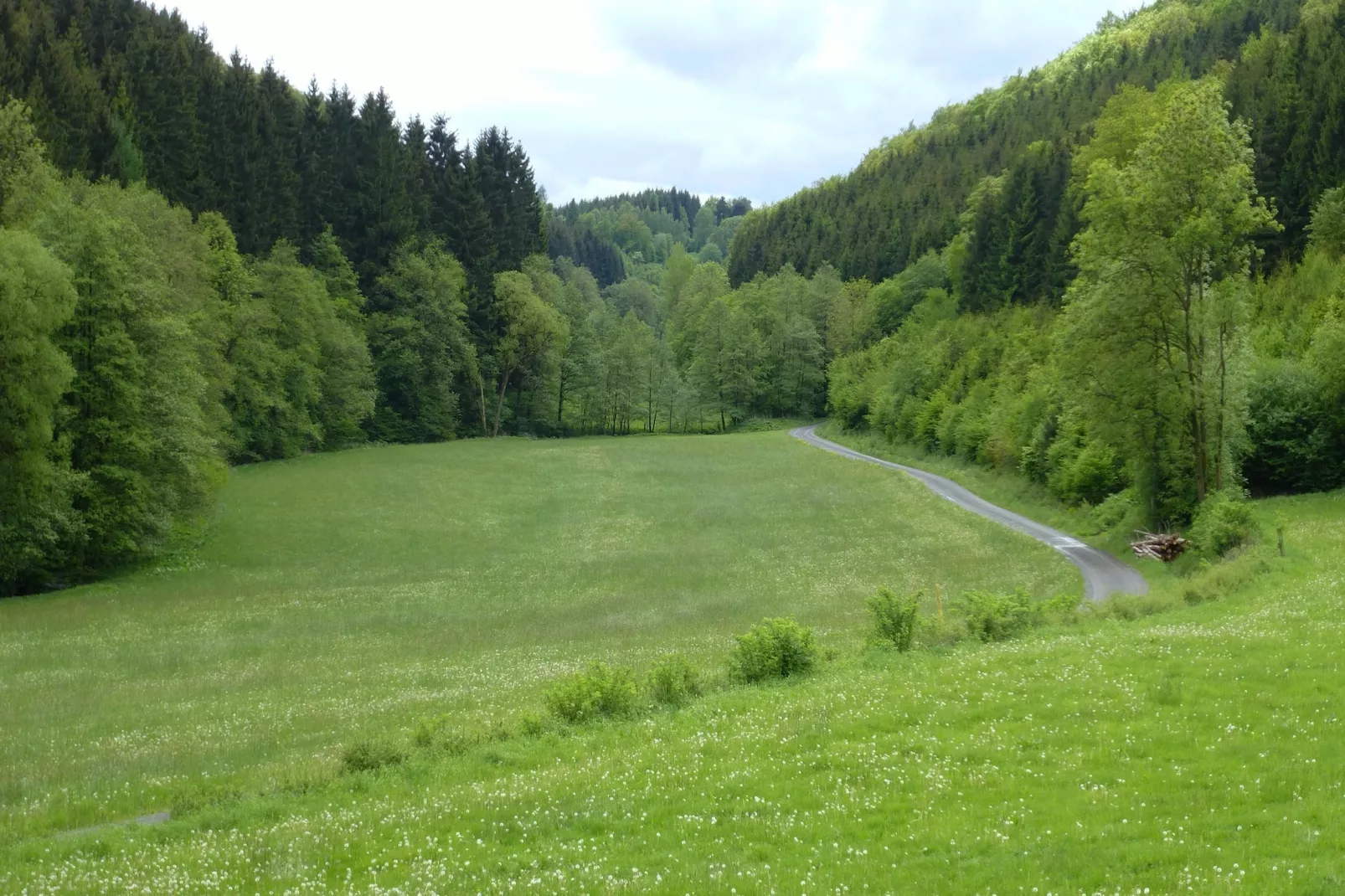 Wilzenberg II-Gärten Sommer