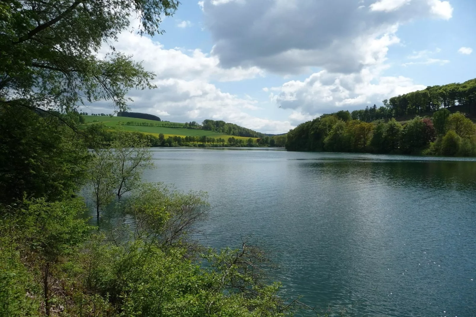 Wilzenberg II-Gebiete Sommer 5 km
