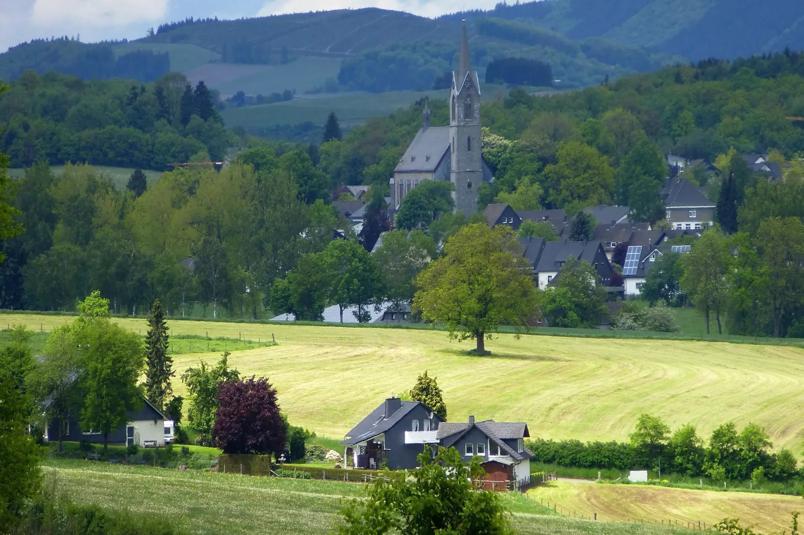 Wilzenberg II-Gebiete Sommer 20 km