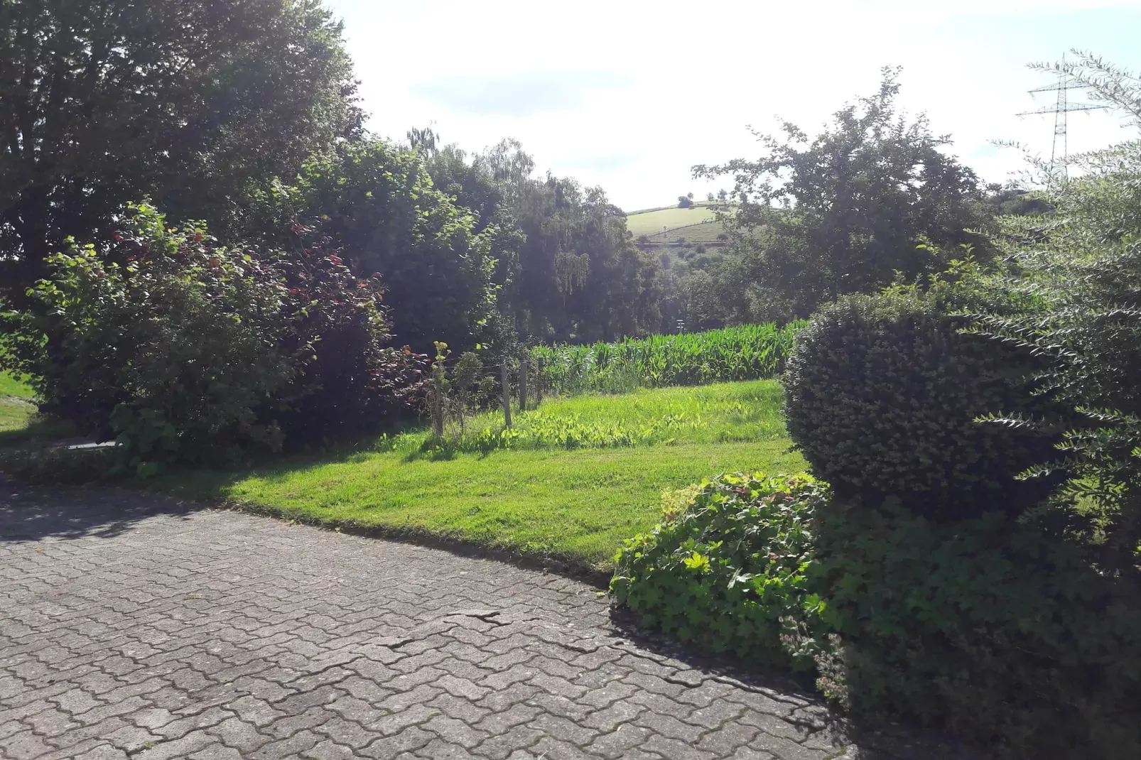 Sellinghausen-Landing