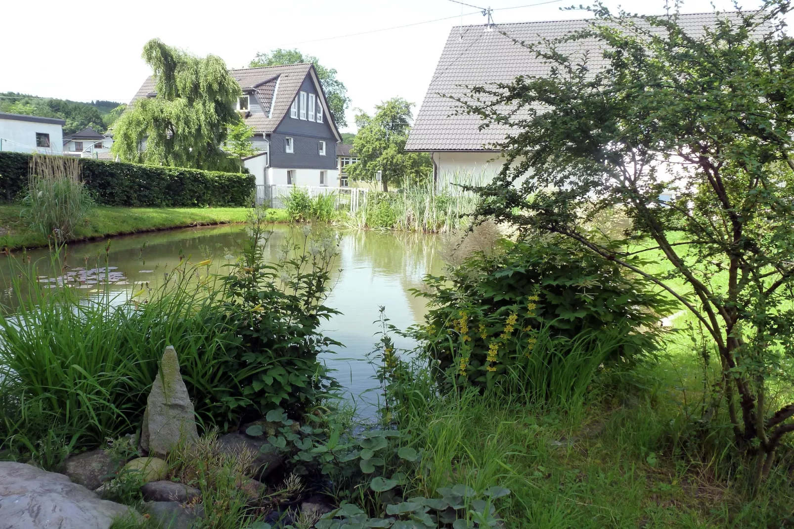 Am Teich-Areas summer 1km