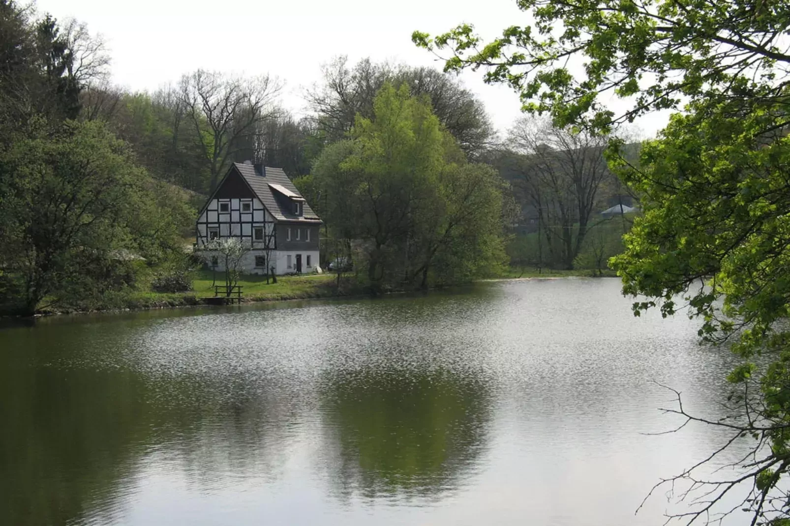 Ober der Hasselt-View summer