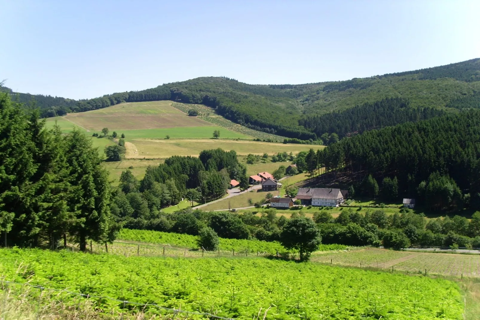 Murmeltier-Areas summer 1km