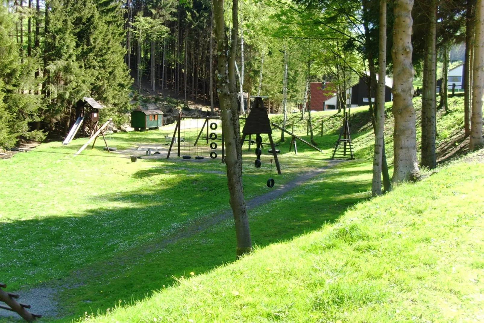 Murmeltier-Areas summer 1km