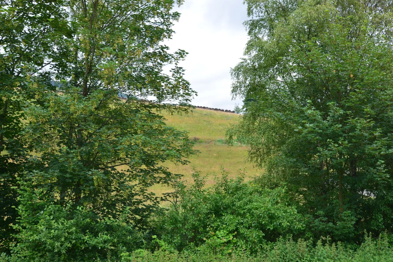Im Ries-View summer