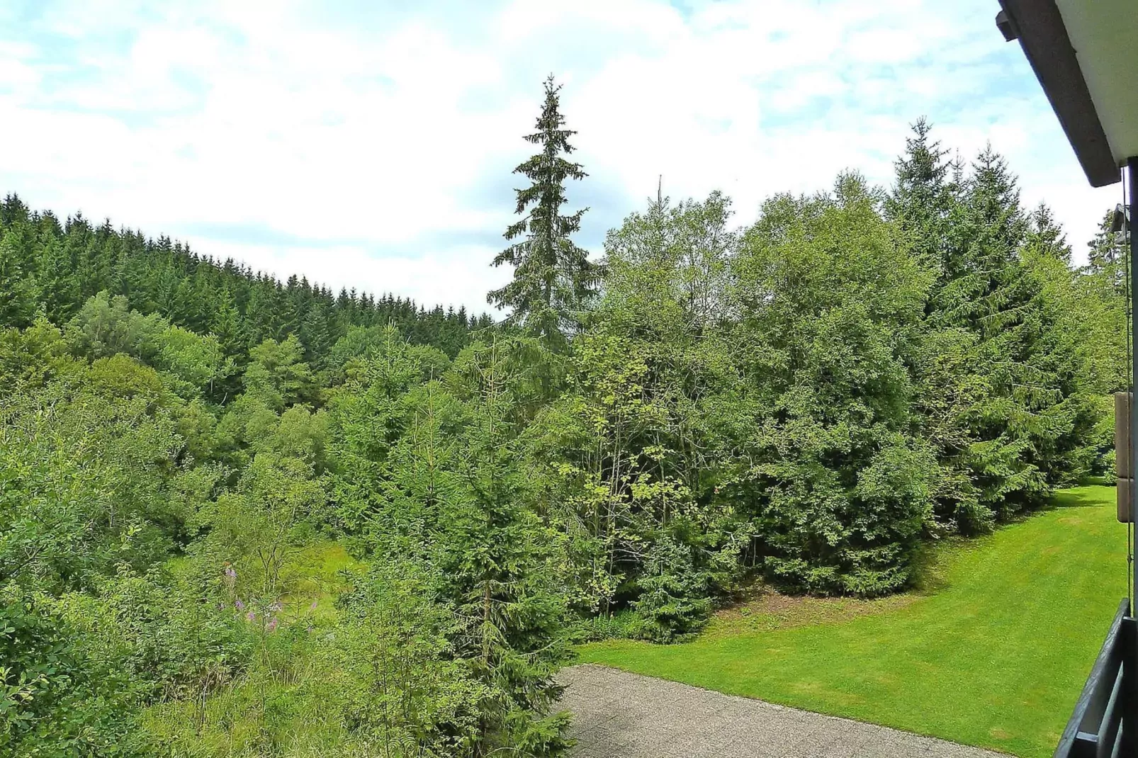 Studio2 Pers  45 qm-Aussicht Sommer