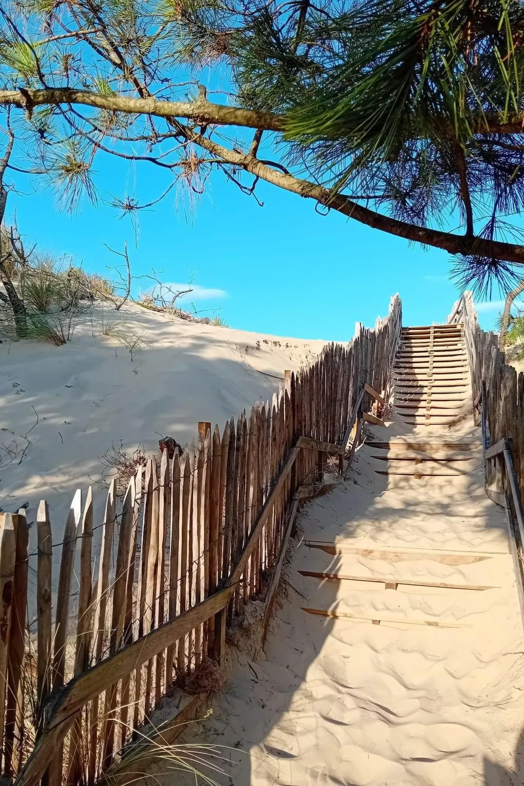 La Dune des ailes-Area