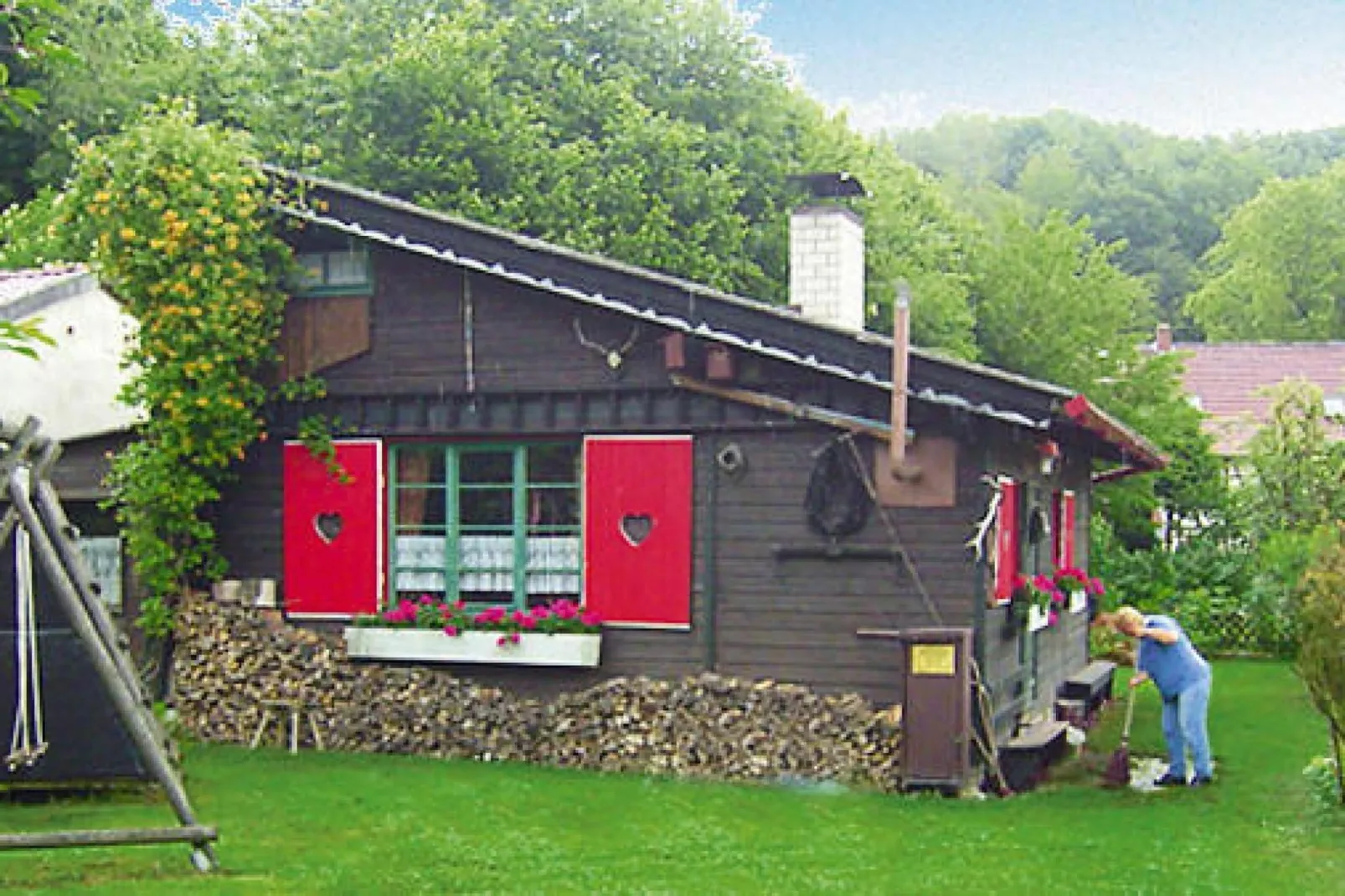 Ferienhaus in Wieda-Exterior summer