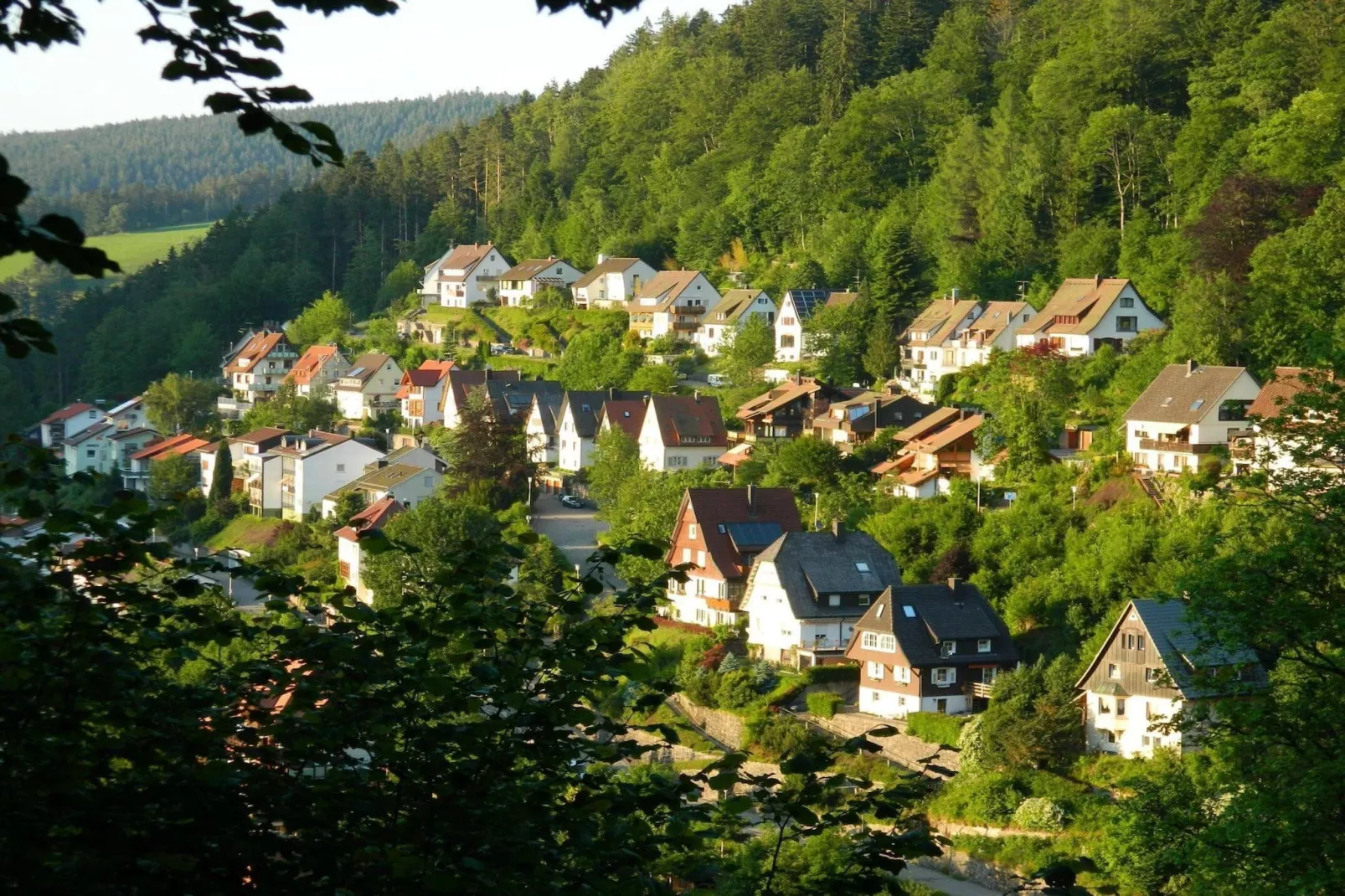 Borntal EG-Areas summer 20km