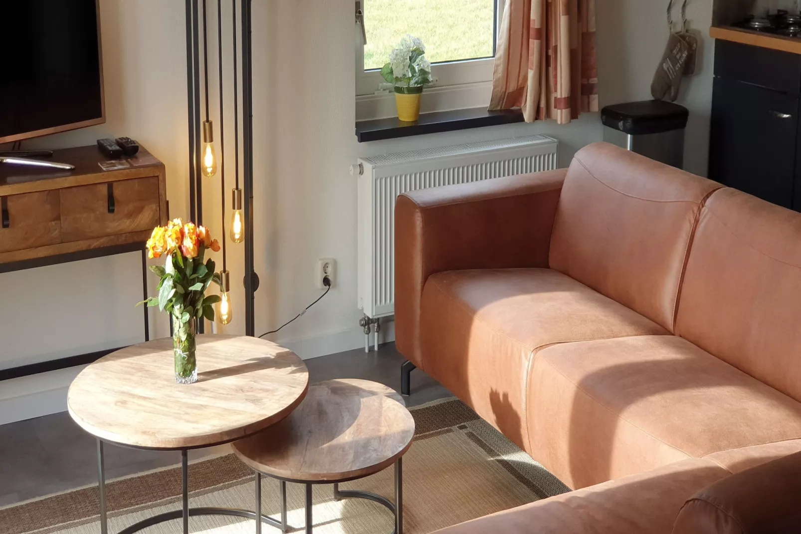 Bargereed 66-Living room