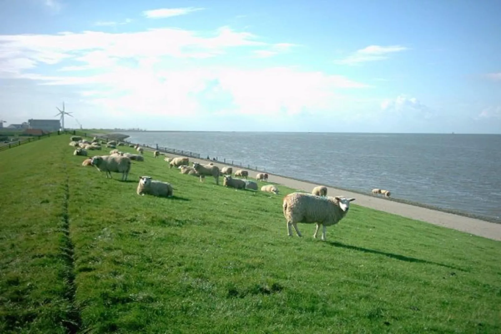 Bargereed 66-Areas summer 5km