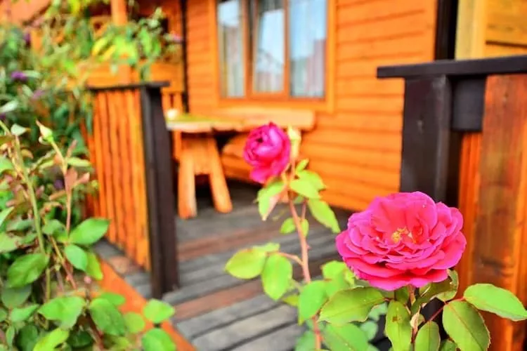 Domki wakacyjne z basenem dla 5 osób Jarosławiec-Gardens summer