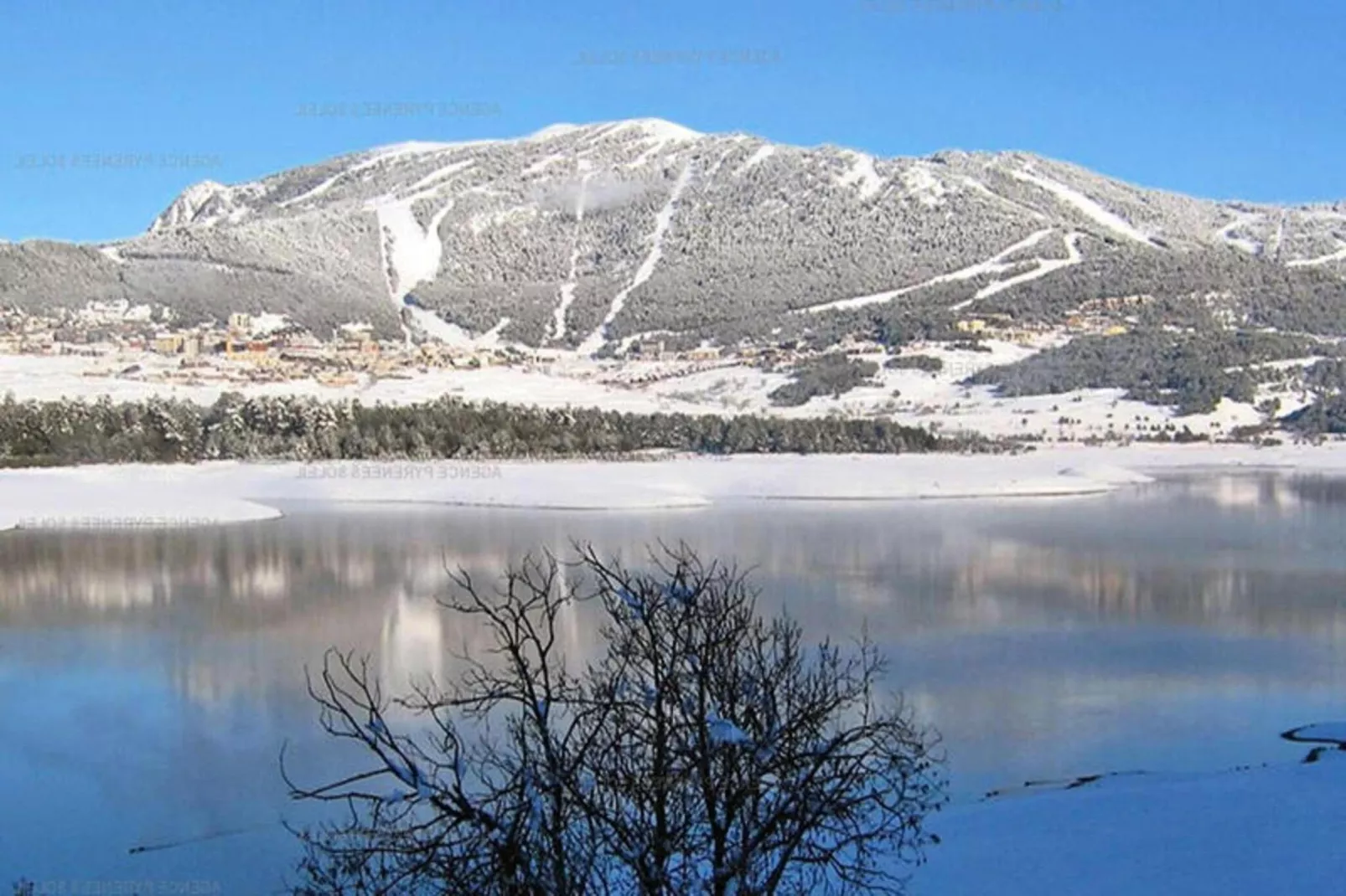 Goldkopf DG-Area winter 20km