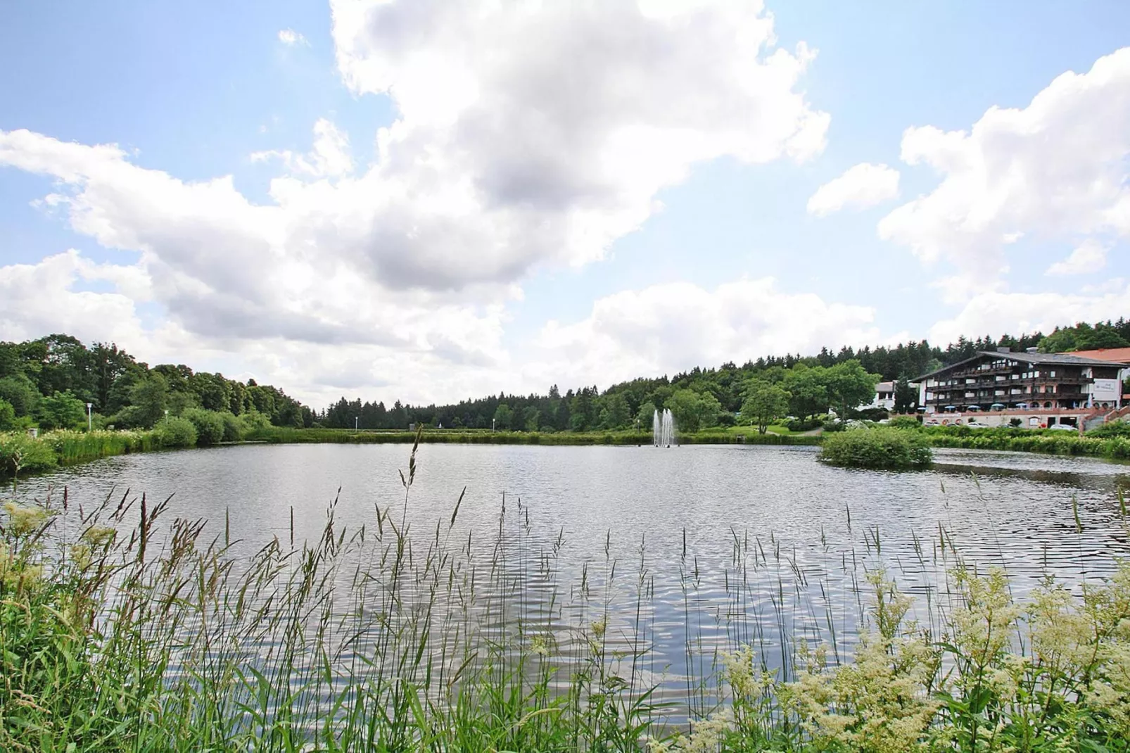 Fewo Sandra Nr 24-Areas summer 20km