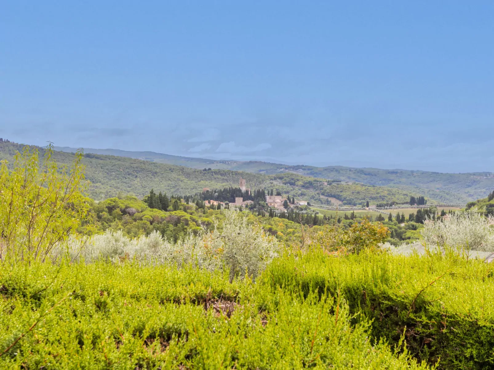 Badia a Passignano-Outside