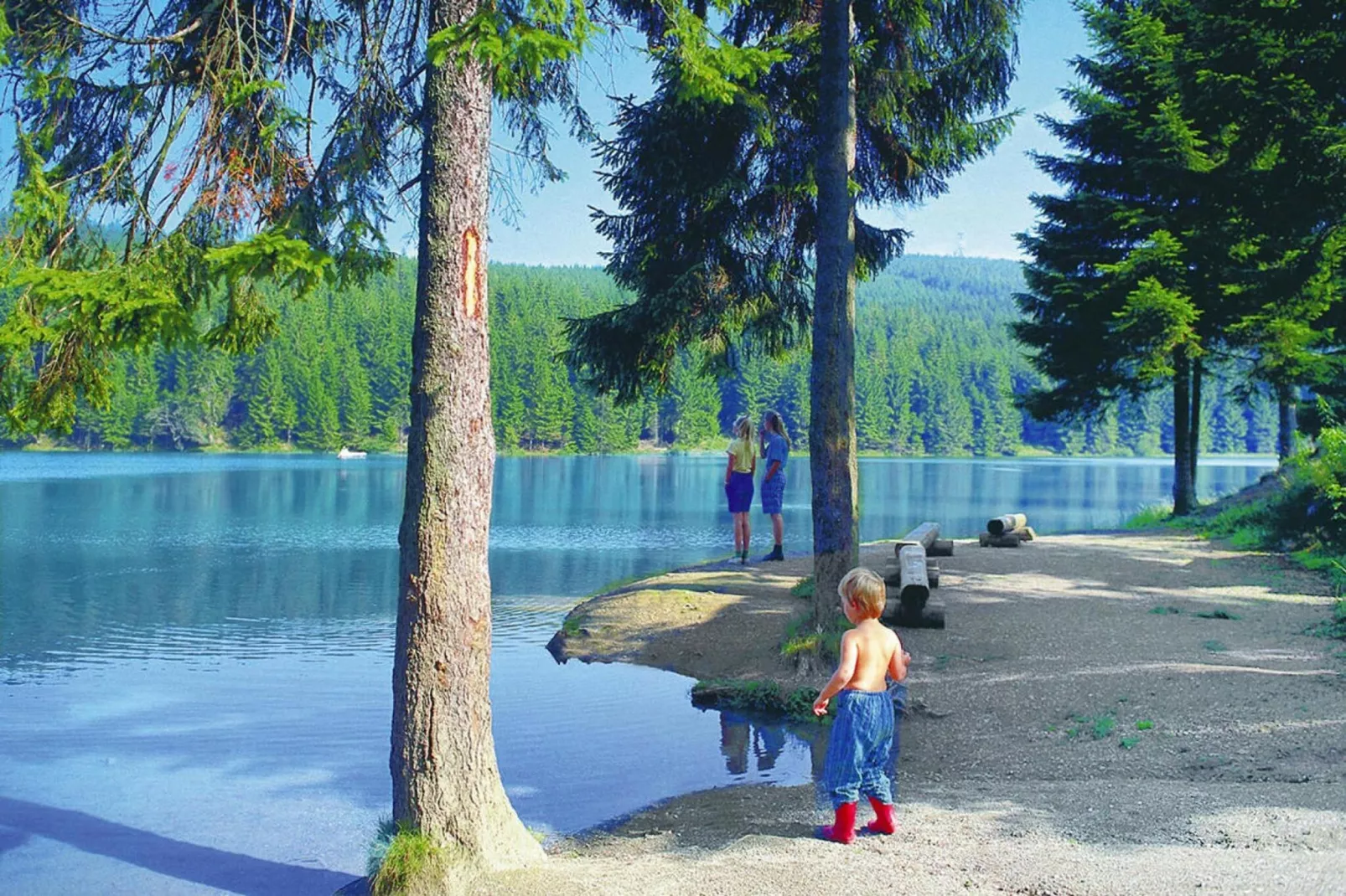 Fewo Sandra Nr 24-Areas summer 5km