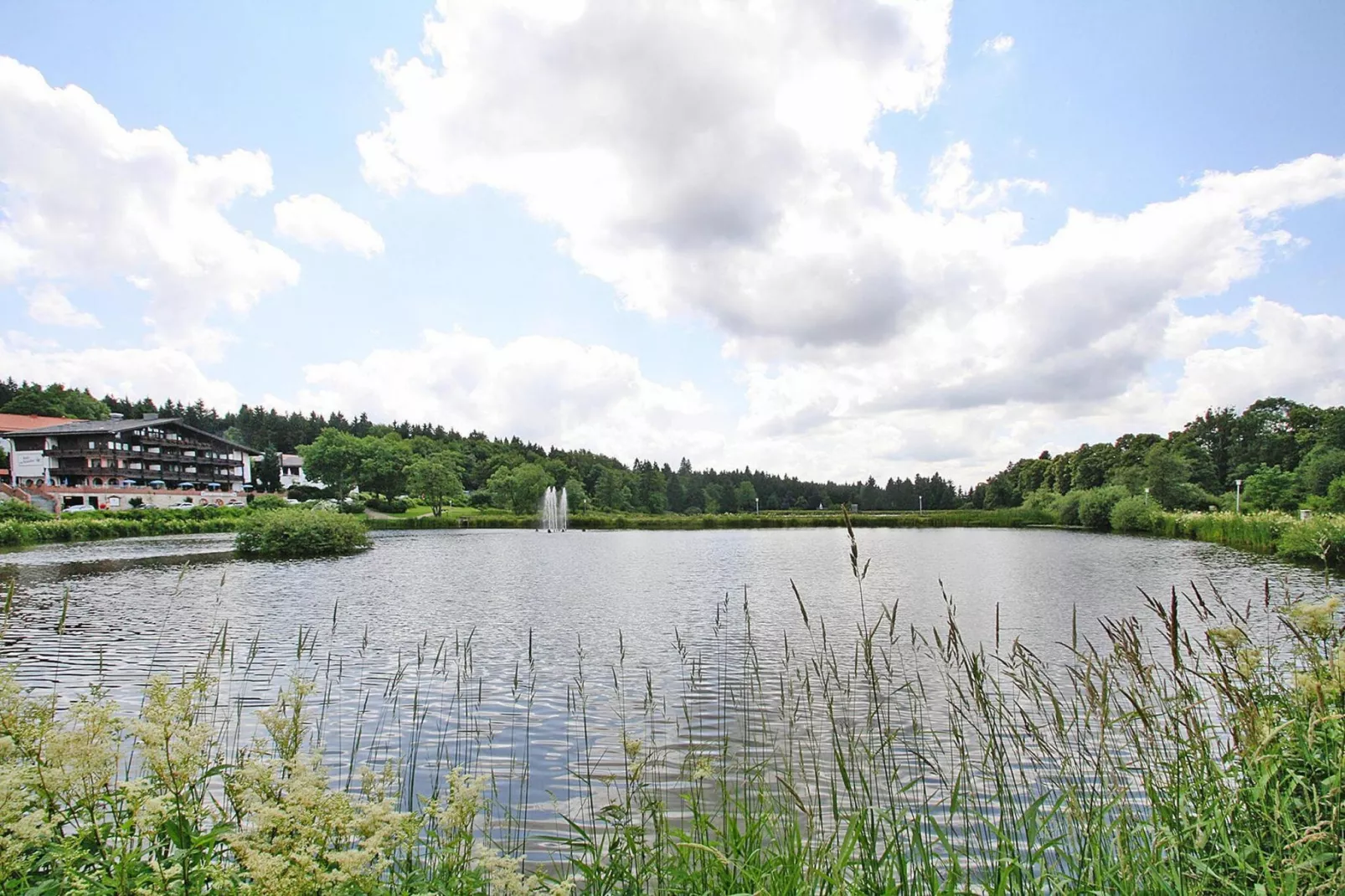 Fewo Sandra Nr 24-Areas summer 20km