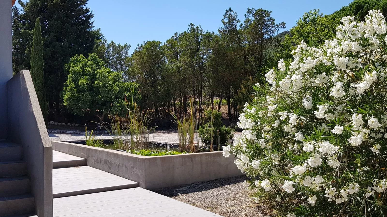 Lunes-Gardens summer