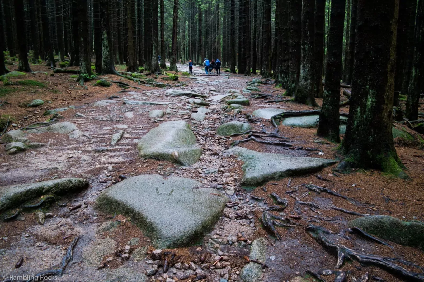 4 Personen-Gebiete Sommer 5 km