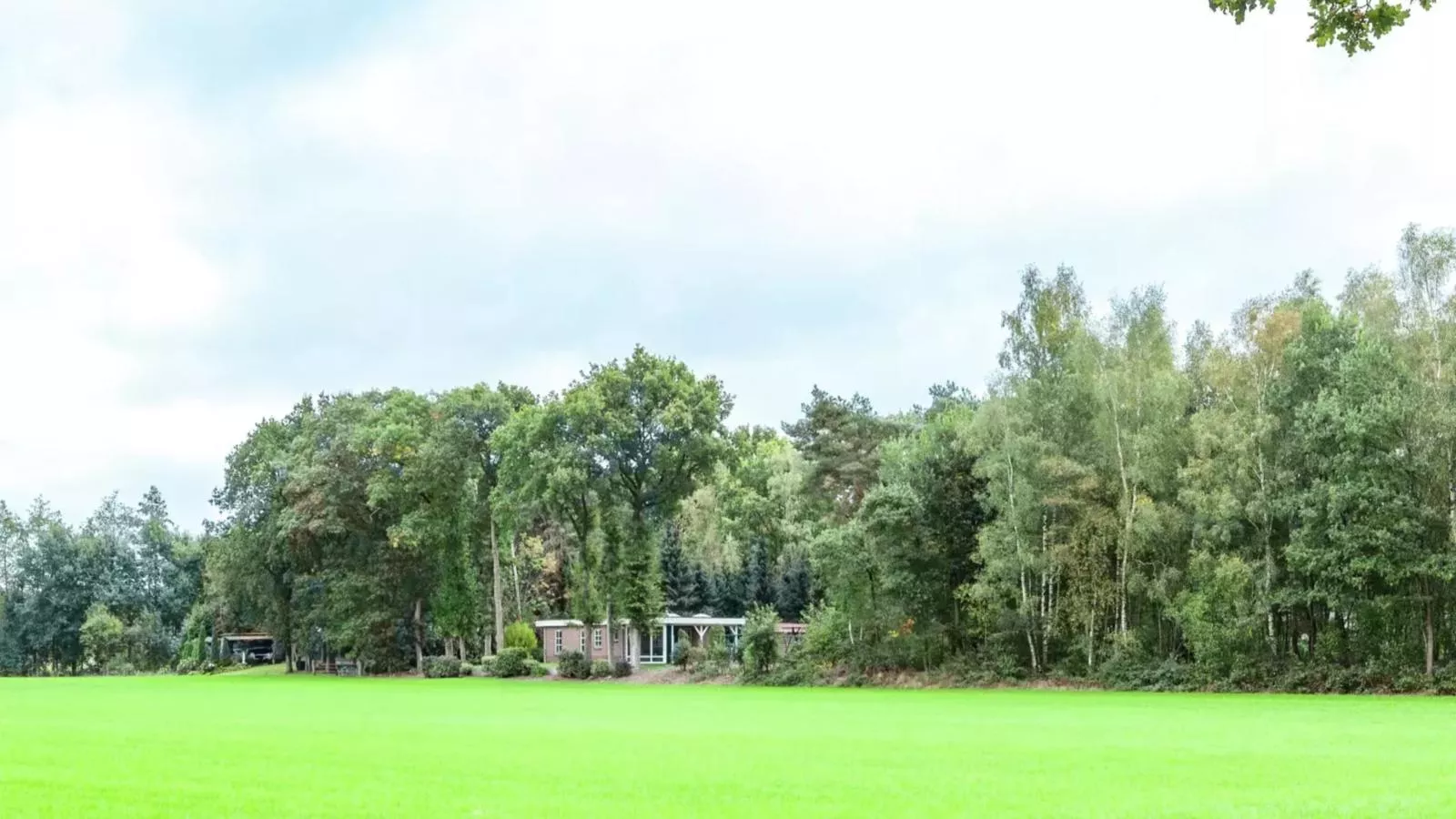 Langgoor-Areas summer 1km