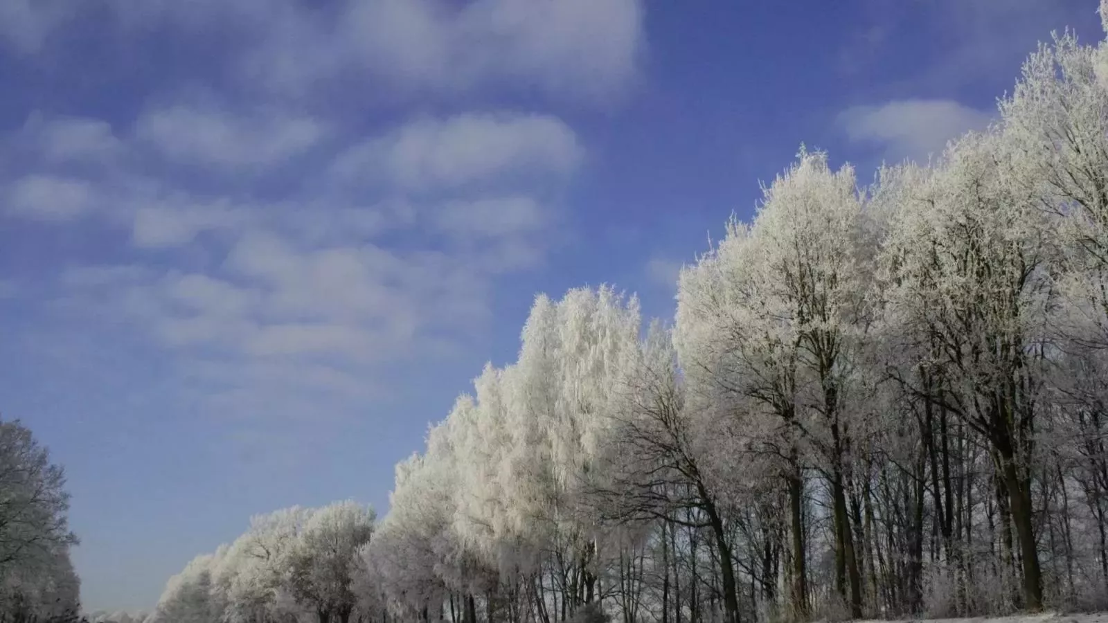 Langgoor-Area winter 1km