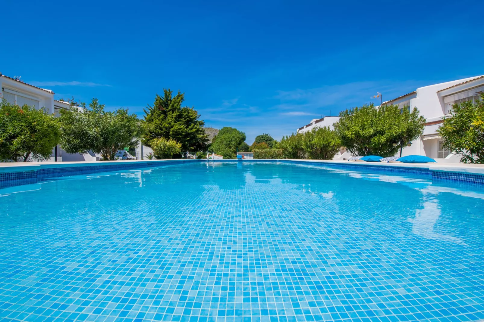 Avus-Pool