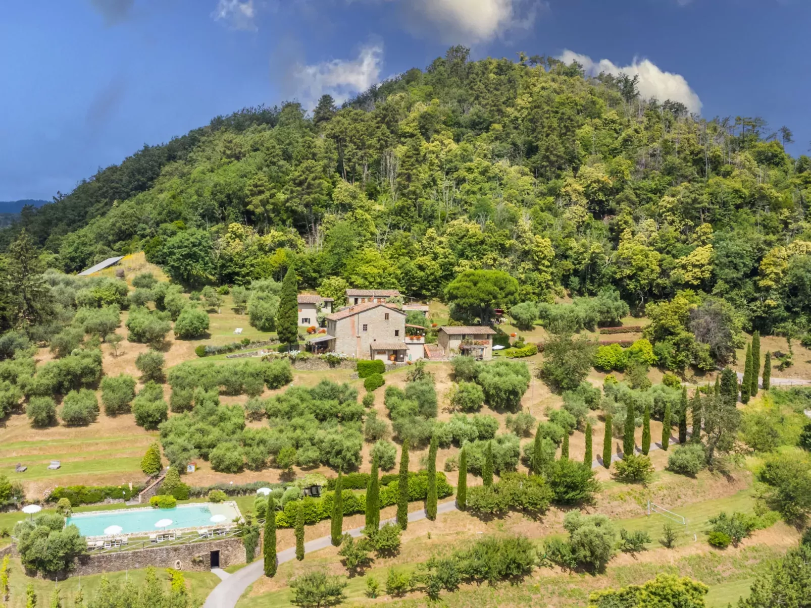 La Cupola: Papavero-Dehors