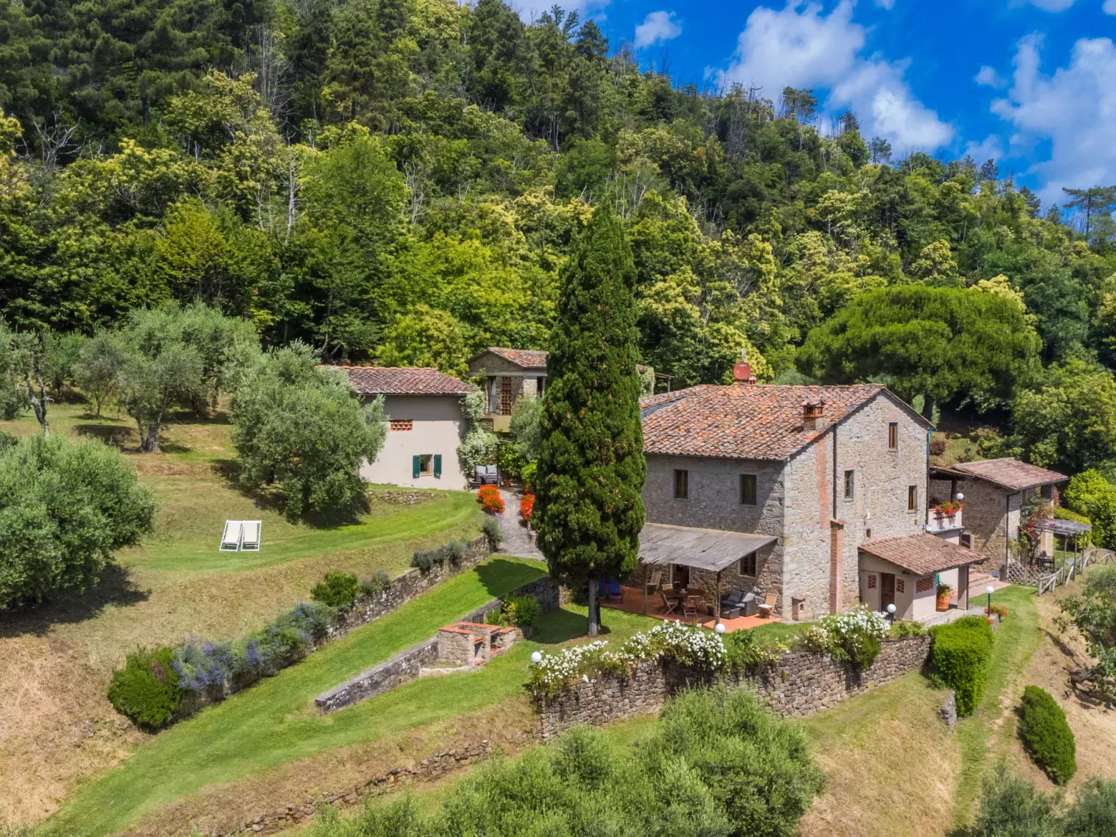 La Cupola: Papavero-Dehors