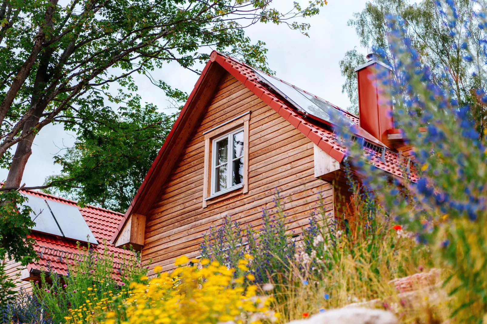 FH PremiumLodge Plus-4Erw und 2 Ki 4-11-Exterior summer