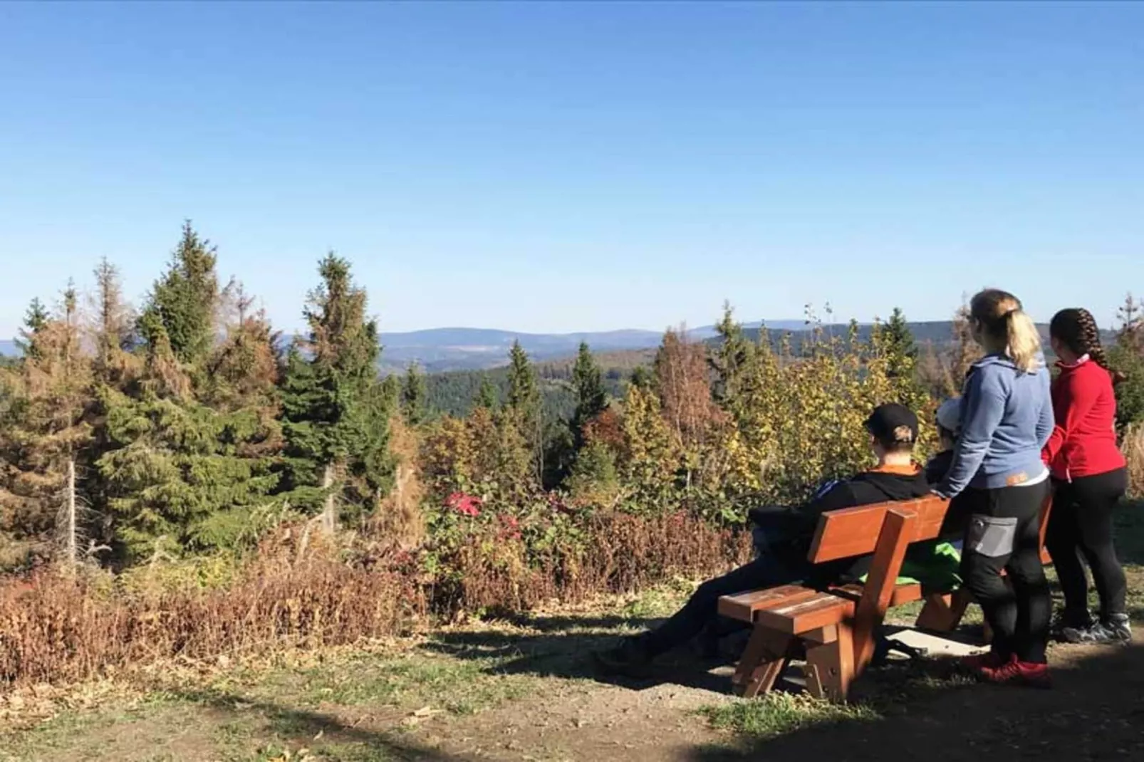 Jagdschlösschen Whg 19-Areas summer 1km