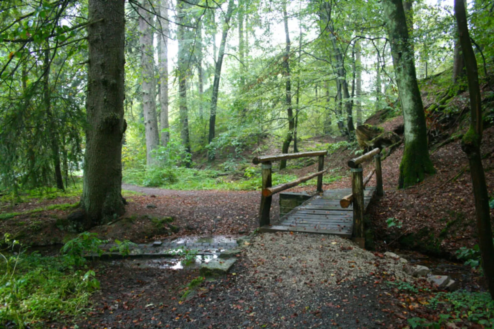 Jagdschlösschen Whg 19-Areas summer 1km