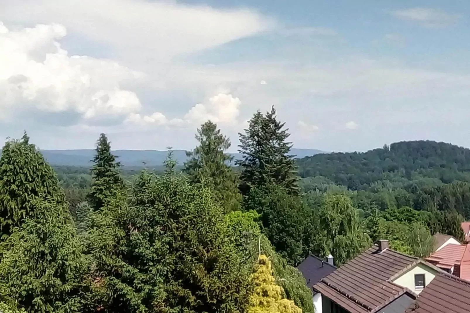 Jagdschlösschen Whg 19-View in summer