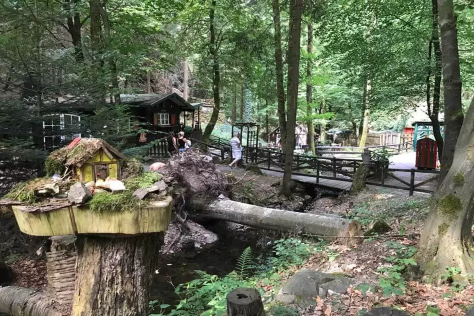 Jagdschlösschen Whg 19-Areas within 5km in summer