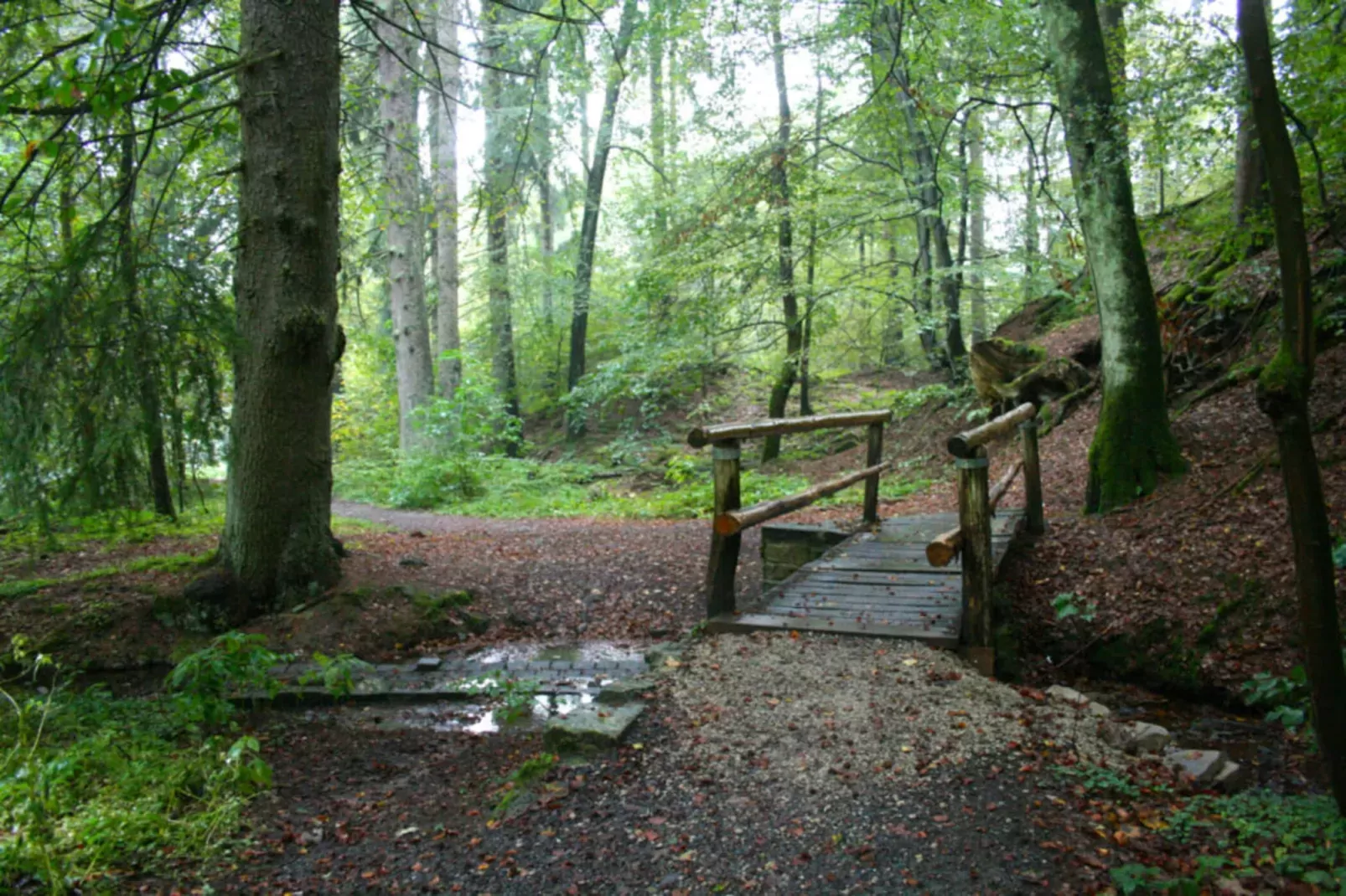 Jagdschlösschen Whg 19-Areas within 5km in summer