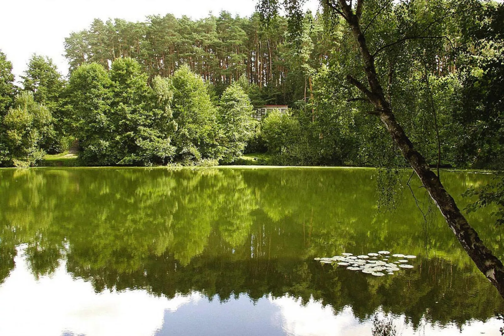 Feriensiedlung Am Grundlossee / DHH Typ 1 40 qm 4 Pers-Areas summer 5km