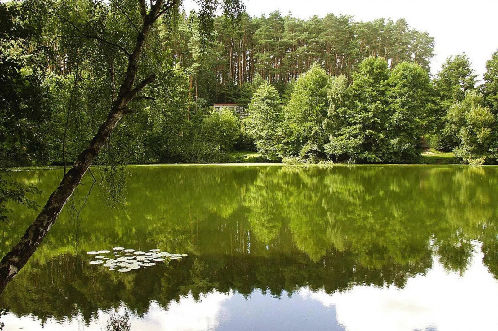 Feriensiedlung Am Grundlossee / DHH Typ 1 40 qm 4 Pers-Areas summer 5km